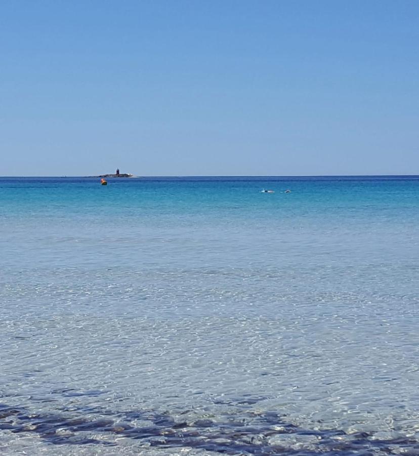 Appartamento Fronte Porto Alghero Bagian luar foto