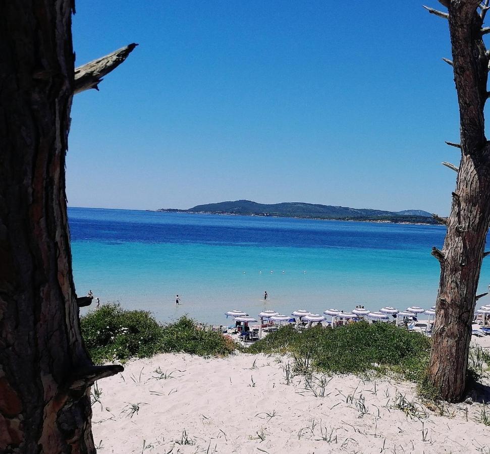 Appartamento Fronte Porto Alghero Bagian luar foto
